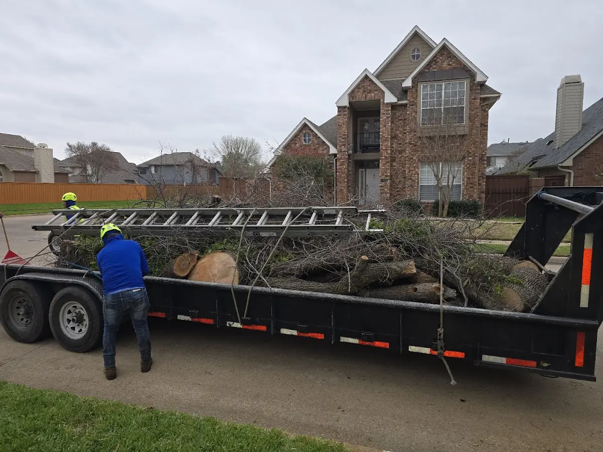 Expert Lot Clearing with proper safety equipment in Webster